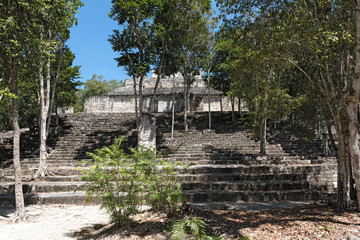 Fototapeta na wymiar the ruins of the ancient mayan city of calakmul, campeche, mexico