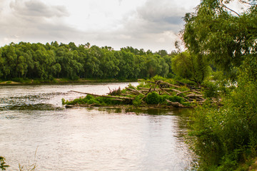 Fototapeta na wymiar Islet with snags and a tree in the middle of a fast river