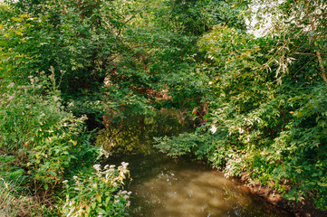 Safety life. Sunny day a calm river in summer. Beauty wild nature landscape. Ecology concept. Environmental protection. Water without pollution. Reserve of nature. Wild planet