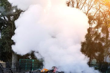 Obraz premium Hot steam out of from ground located at Beppu,Oita,Kyushu,Japan
