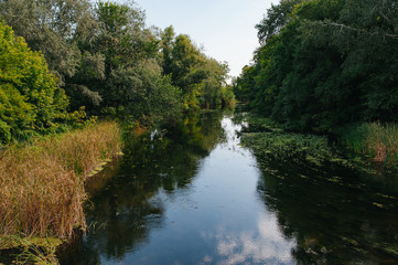 Safety life. Sunny day a calm river in summer. Beauty wild nature landscape. Ecology concept. Environmental protection. Water without pollution. Reserve of nature. Wild planet