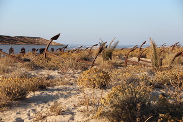 Cimet&egrave;re ancre