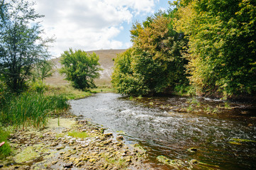 Safety life. Sunny day a calm river in summer. Beauty wild nature landscape. Ecology concept. Environmental protection. Water without pollution. Reserve of nature. Wild planet