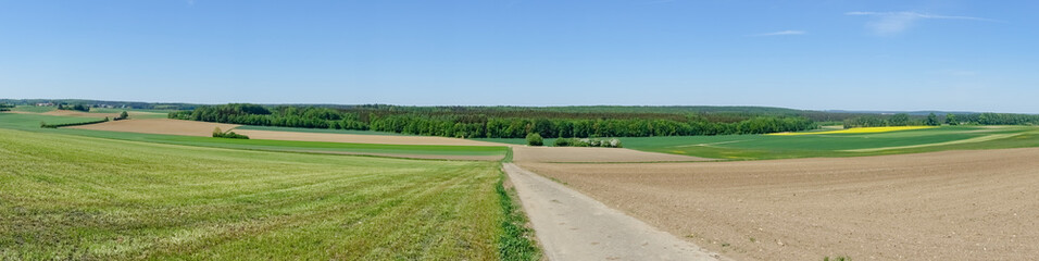 Feldweg Panorama