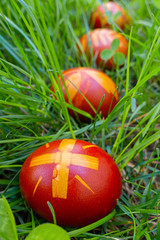 Pasqua uova di Pasqua sull'erba verde primavera banner