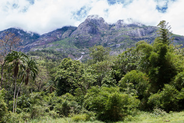 Cloudy sky over Mount Mulanje with the forest at the foot of the mountain.
