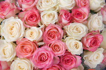 Background of pink and white roses.