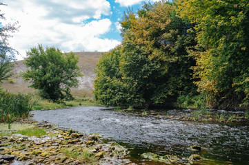 Safety life. Sunny day a calm river in summer. Beauty wild nature landscape. Ecology concept. Environmental protection. Water without pollution. Reserve of nature. Wild planet