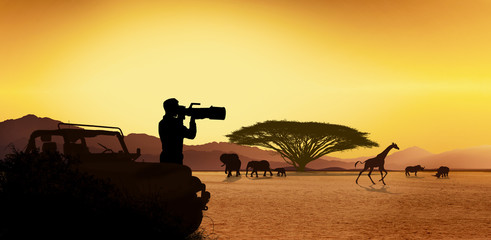 Young man traveler and photographer standing in safari looking at wildlife animals © ginettigino