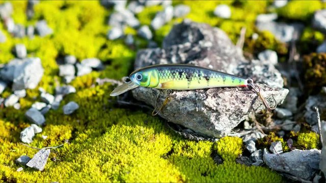 Jerkbait f&uuml;r Forellen und Barsch