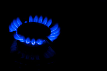 Burning gas burner