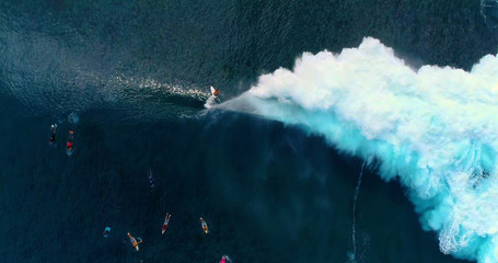  surfing in aerial view, teahupoo papeete french polynesia - obrazy, fototapety, plakaty