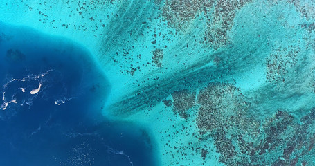 Lagoon in aerial view, French Polynesia