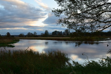 Obraz premium reflection of cloudy sky in the water of a countryside river