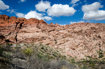 Red Rock Canyon National Conservation Area