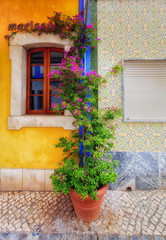 Fototapeta na wymiar Colorful buildings and flowers in Alvor Portugal