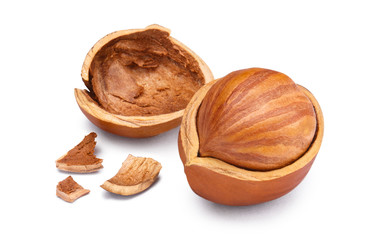 Open hazelnut, isolated on white background