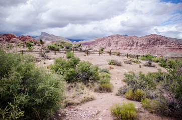 Fototapeta na wymiar Calico Basin area of Red Rock Canyon National Conservation Area