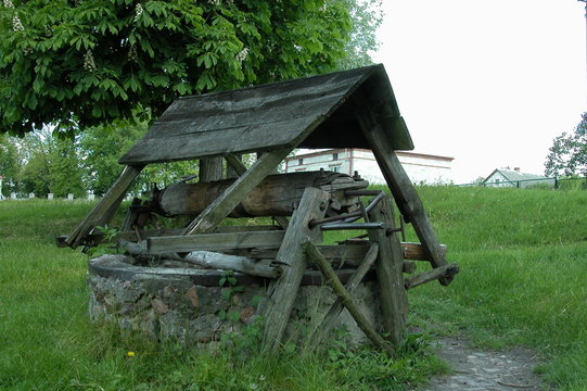 Rybitwy