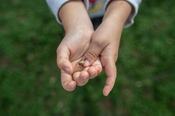 Tiny snail crawling on a finger of a toddler