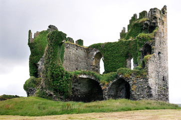 Burg Ruine Irland