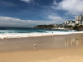 Bondi Beach, Australia
