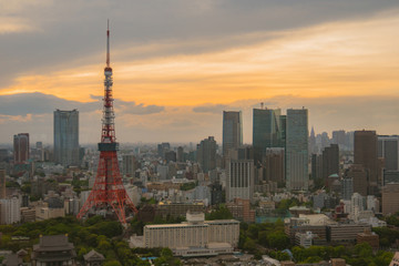Tokyo tower in the tokyo city, Japan at evening.