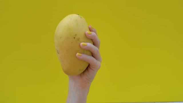 Yellow mango appear on a yellow background