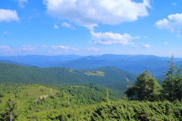 Mountains Carpathians overgrown with forests.