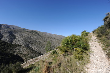 track in the mountains, an historic Mozarab trail near Benimaurell in the Vall de Laguart, Alicante Province, Spain