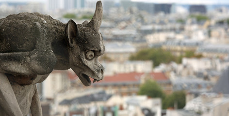 Fototapeta na wymiar gargoyle on the cathedral of Notre Dame in Paris while observing