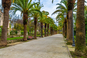 Fototapeta premium Park alleyway in the ancient baroque town Ragusa, Sicily, italy