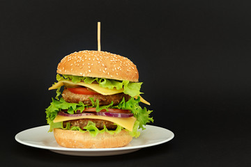 Double burger on black background