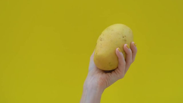 Dancing yellow mango on a yellow background in a woman's hand