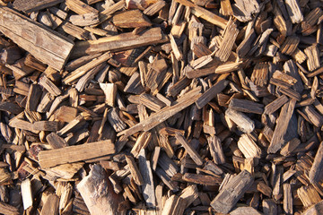 Small pieces of wood and bark in bright sunlight. Texture background