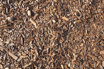 Fototapeta premium Small pieces of wood and bark in bright sunlight. Texture background