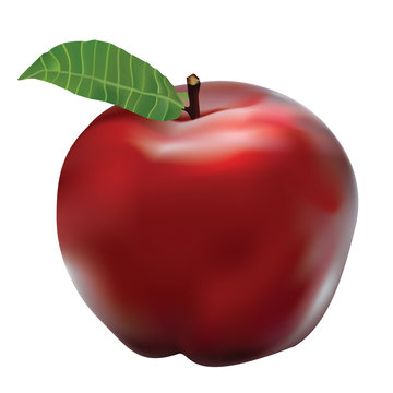 Vector of Cute Red Apple done using gradient mesh. EPS10 format.