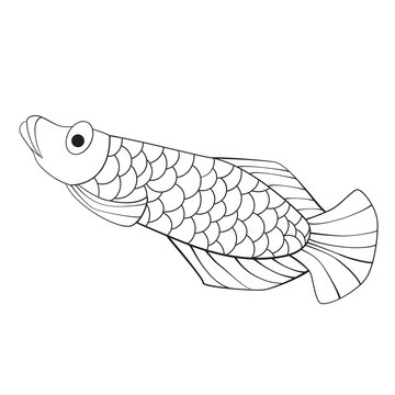 Vector of cute arowana in black and white. EPS10 format.