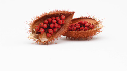 Annatto tree (Bixa orellana L.) of Thailand medicinal properties of the drug