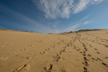 The Great Dune of Pilat, France, Europe