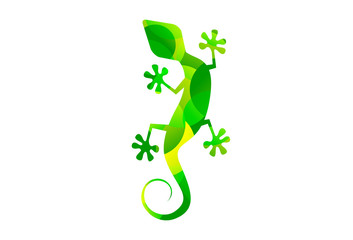 Geco Photos Royalty Free Images Graphics Vectors Videos