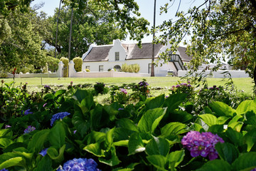 Cape Winelands - Stellenbosch - Allee Bleue