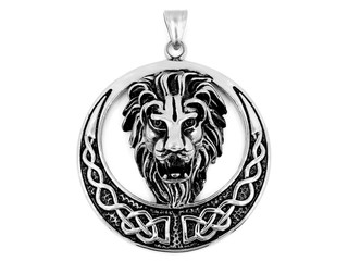 Jewelry pendant lion head. Stainless steel.