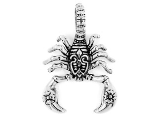 Jewelry Pendant Scorpion. Stainless steel