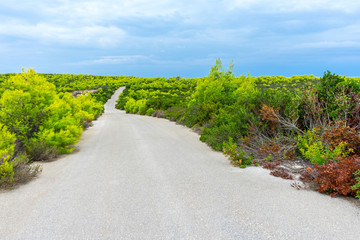 Greece, Zakynthos, Perfect street in green paradise