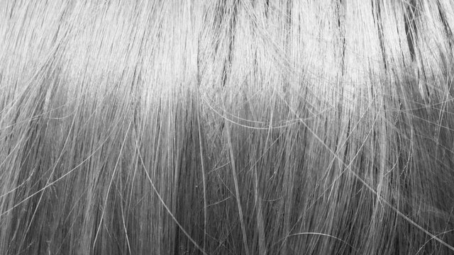black and white hair texture background 