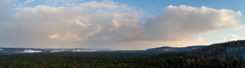 Obraz premium Christmas trees in the snow, winter forest, panorama, Ukraine