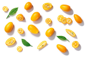 Kumquats c. japonica, leaves, paths, top