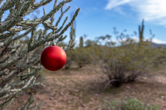 red Christmas ornament in desert