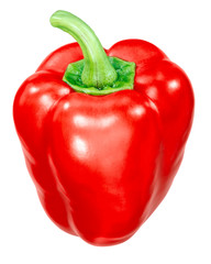 Red bell pepper c. annuum,  paths